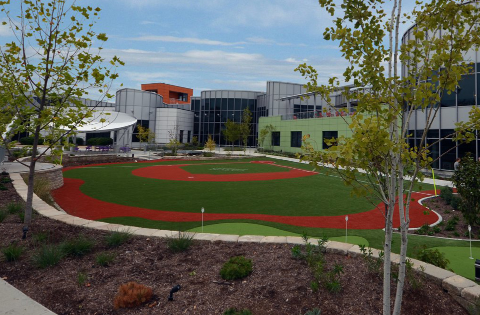 Bring Your Space Alive